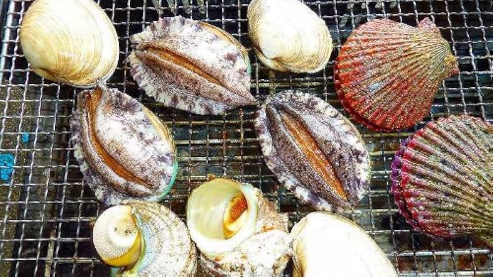 saka　活あわび　1キロ 活さざえ 1.0kg (約10～20個)＆活あわび 5個 セット 活きたまま